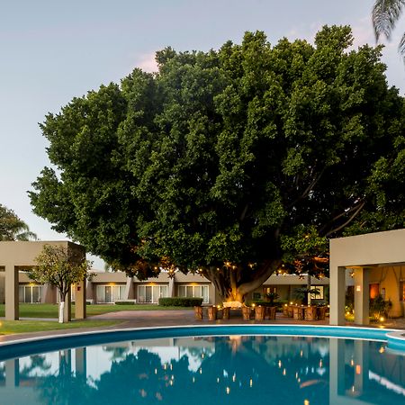 Hotel Camino Real Guadalajara Zapopan Exterior foto The Banyan Resort