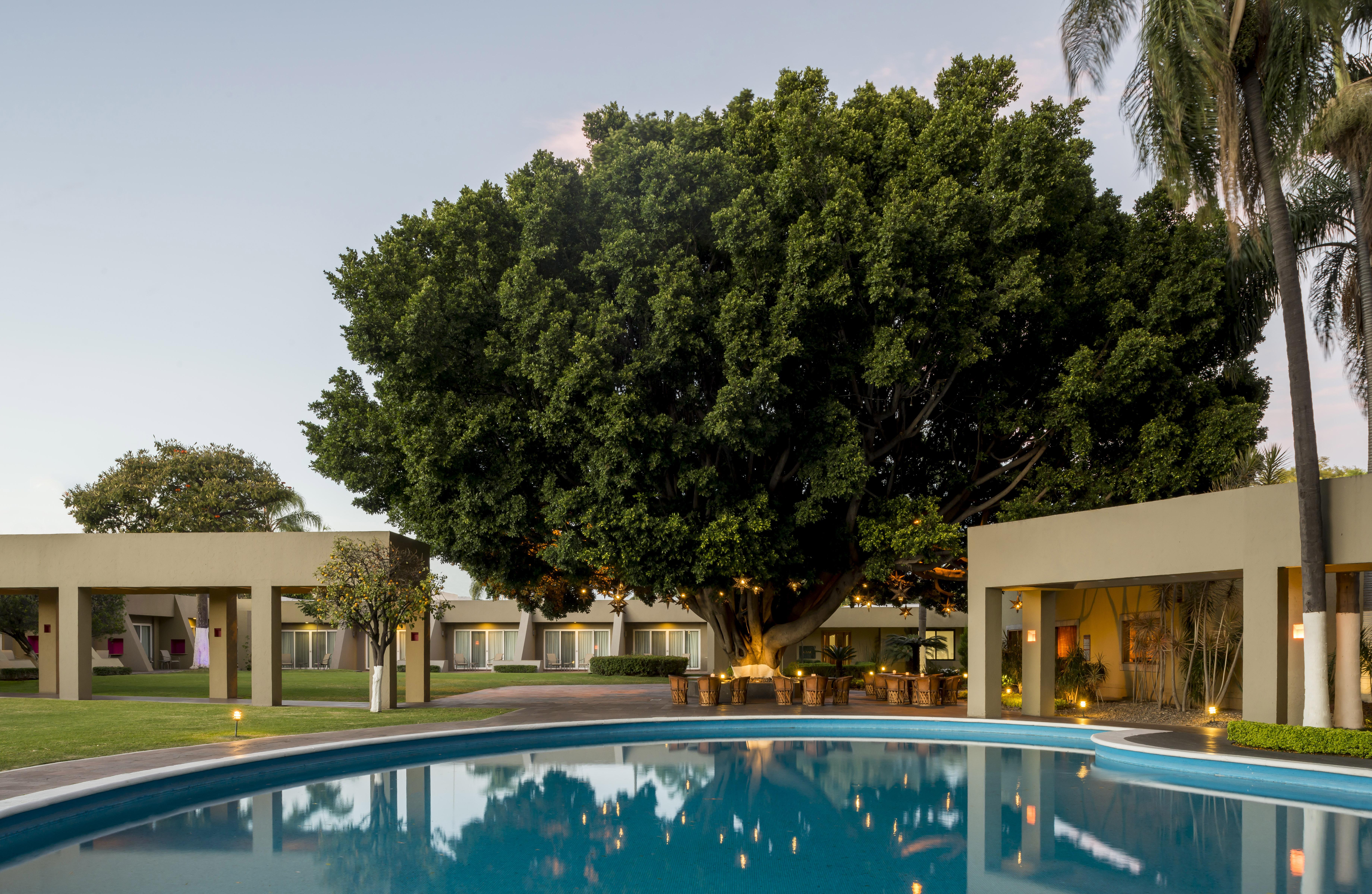 Hotel Camino Real Guadalajara Zapopan Exterior foto The Banyan Resort